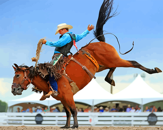 Rodeo Man Painting By Numbers.png