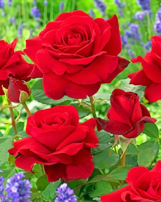Romantic Red Roses Flowers Painting By Numberss.png