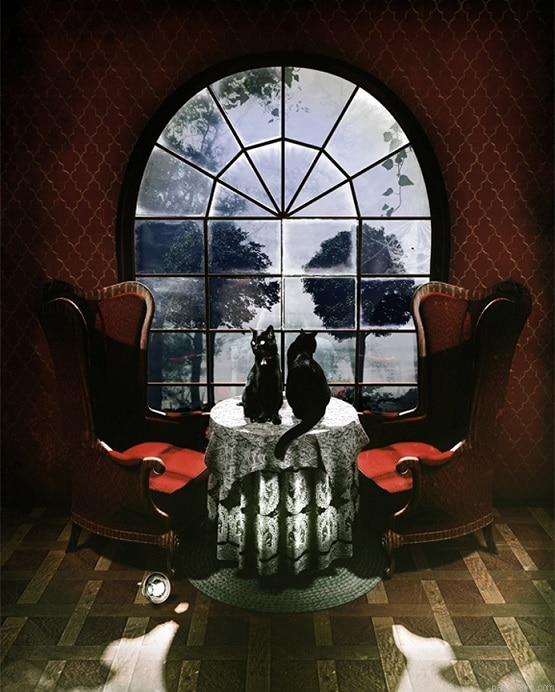 Room Skull Still Life Painting By Numberss.png