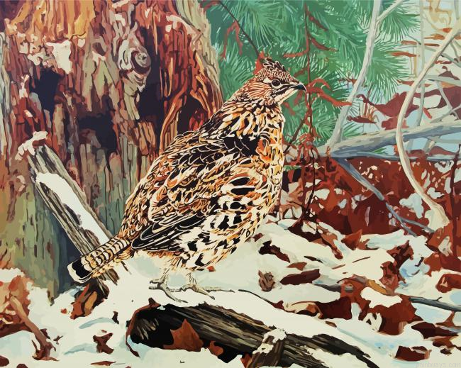 Ruffed Grouse In Snow Painting By Numberss.png