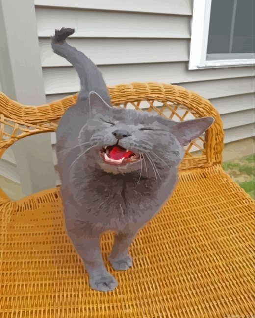 Russian Blue Cat Painting By Numbers.png
