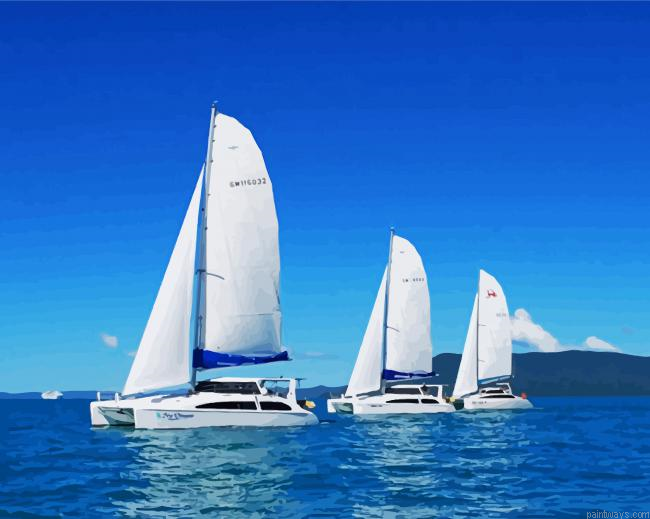 Sailing Catamarans Painting By Numberss.png