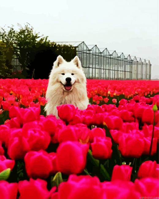 Samoyed Dog Between Flowers Painting By Numberss.png