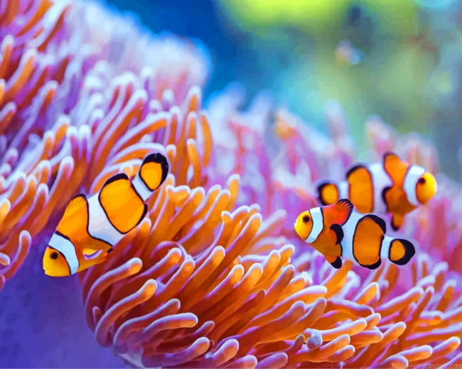 Sea Anemones Painting By Numbers.png