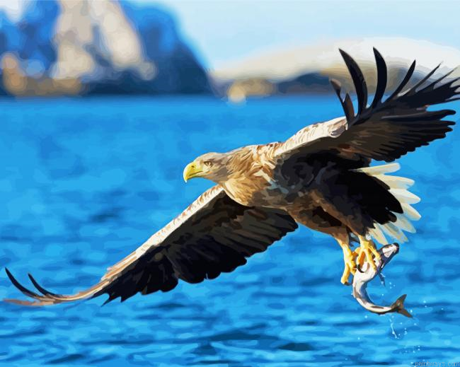 Sea Eagle Catching Fish Painting By Numberss.png