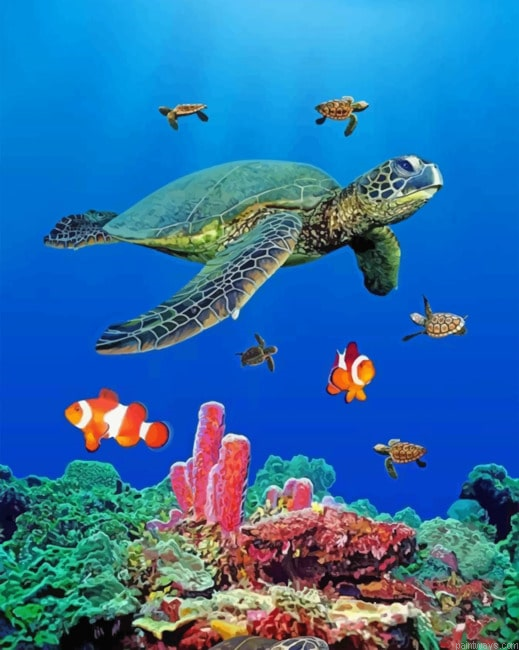 Sea Turtles Painting By Numbers.png