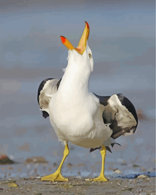Seagull Painting By Numberss.png
