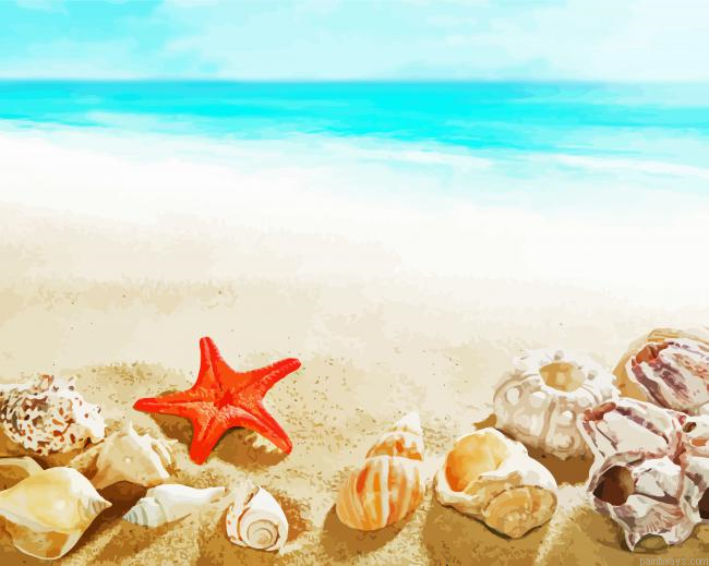 Seashells Starfish Summer Painting By Numberss.png