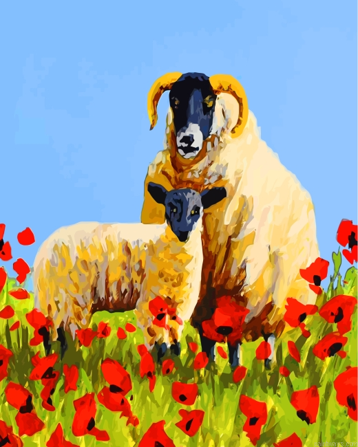 Sheep And Poppies Painting By Numbers.png