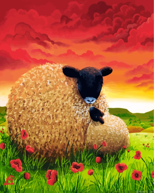 Sheep In Poppy Field Painting By Numbers.png