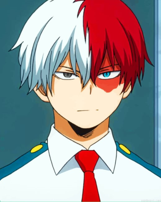 Shoto Todoroki Animations Paint By Number.png