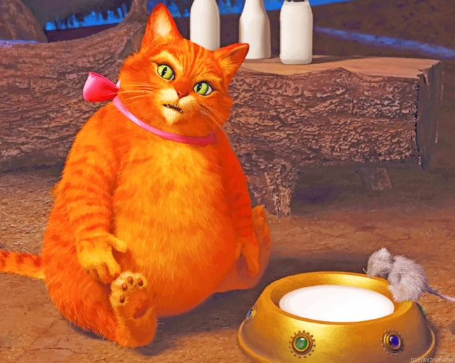 Shrek Cat Animations Painting By Numberss.png