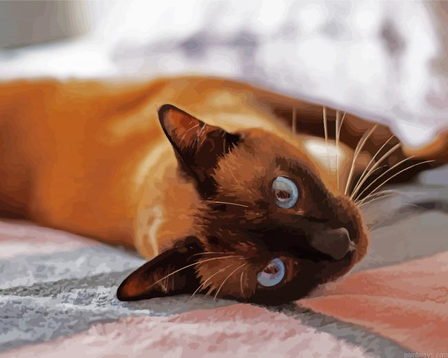Siamese Cat Painting By Numberss.png