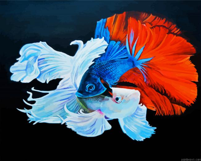 Siamese Fighting Fish Painting By Numberss.png