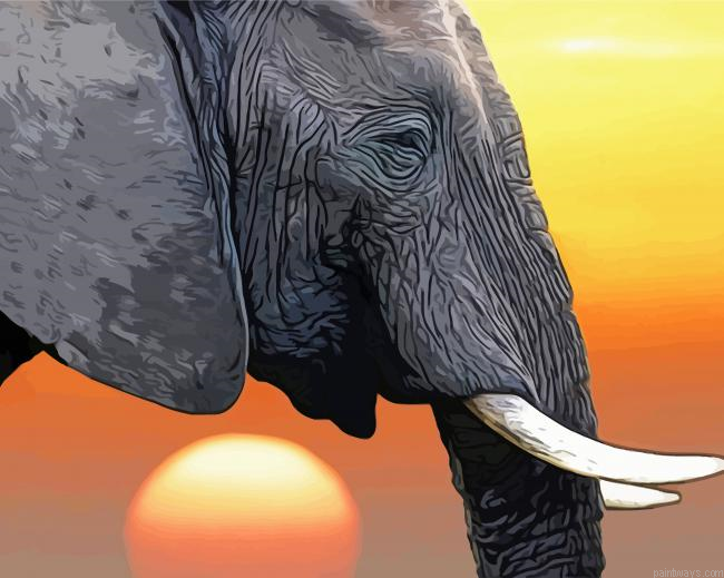 Side Profile Elephant Head Painting By Numberss.png