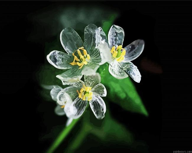 Skeleton Flower Plant Painting By Numberss.png