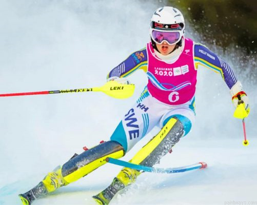 Skiing Olympic Games Painting By Numbers.png
