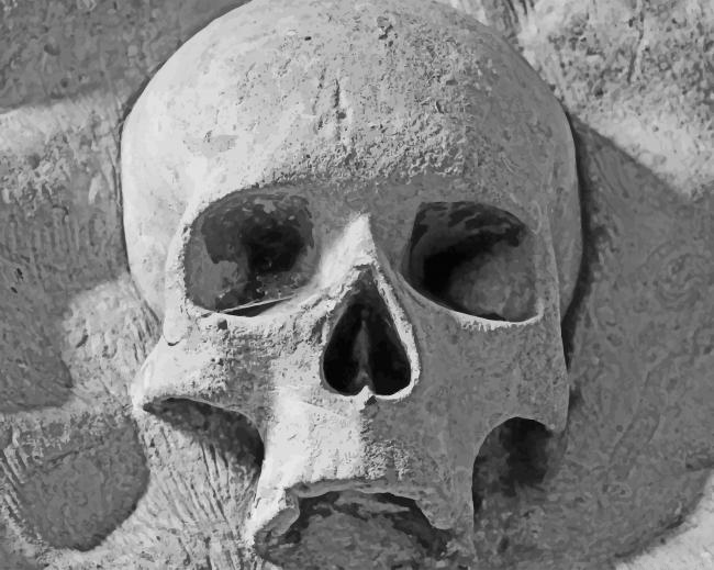 Skull Face New Painting By Numberss.png