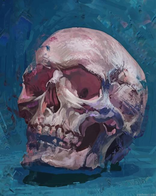 Skull New Painting By Numberss.png