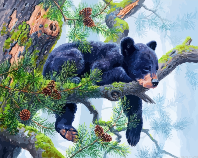 Sleepy Bear Painting By Numbers.png