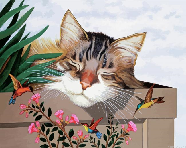 Sleepy Cat And Hummingbird Painting By Numberss.png