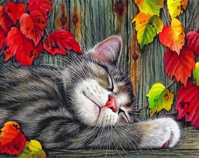 Sleepy Cat Painting By Numbers.png
