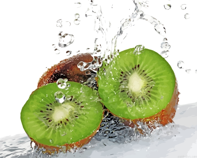 Sliced Kiwi In Water Painting By Numbers.png
