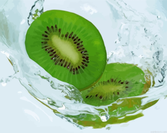 Sliced Kiwi Painting By Numbers.png