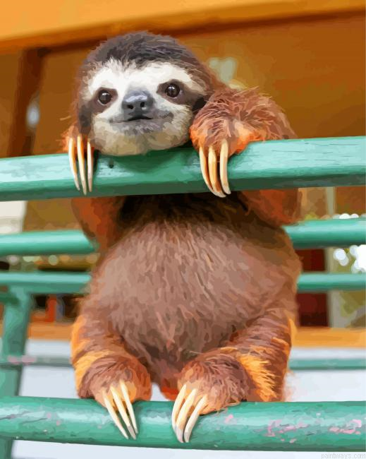 Sloth Animal Painting By Numbers.png