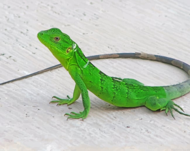 Small Green Lizard Reptiles Painting By Numberss.png