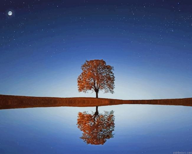 Small Tree Reflection New Painting By Numberss.png
