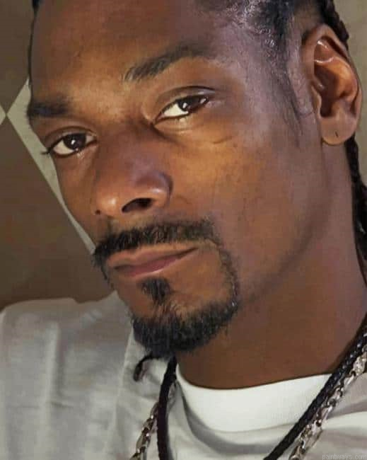 Snoop Dogg Rapper New Painting By Numberss.png