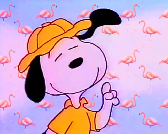 Snoopy Painting By Numberss.png