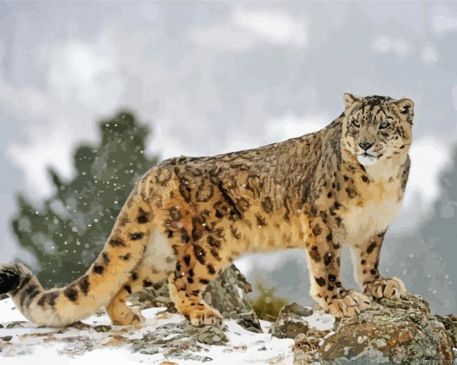 Snow Leopard Painting By Numberss.png