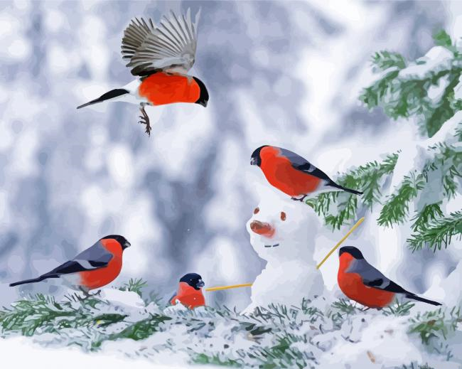 Snowman With Robin Birds Painting By Numberss.png