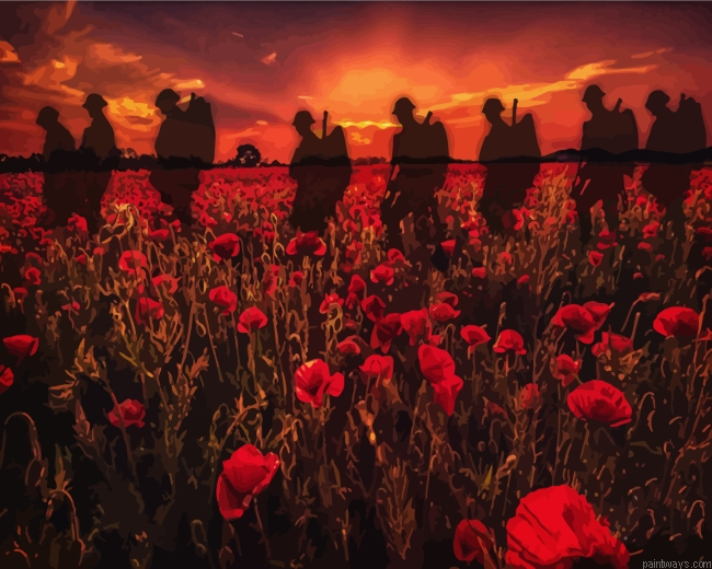 Soldiers Poppy Field Painting By Numbers.png