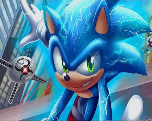 Sonic The Hedgehog Animation Painting By Numbers.png