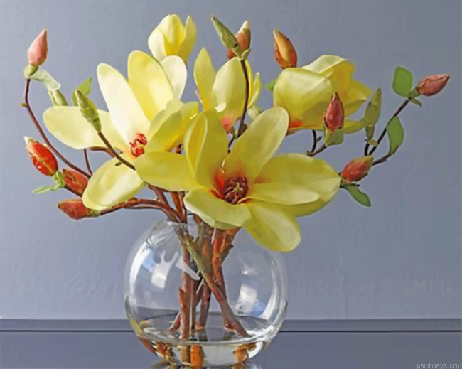 Southern Magnolia Painting By Numberss.png