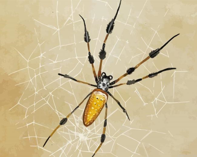 Spider Insect Art Painting By Numberss.png