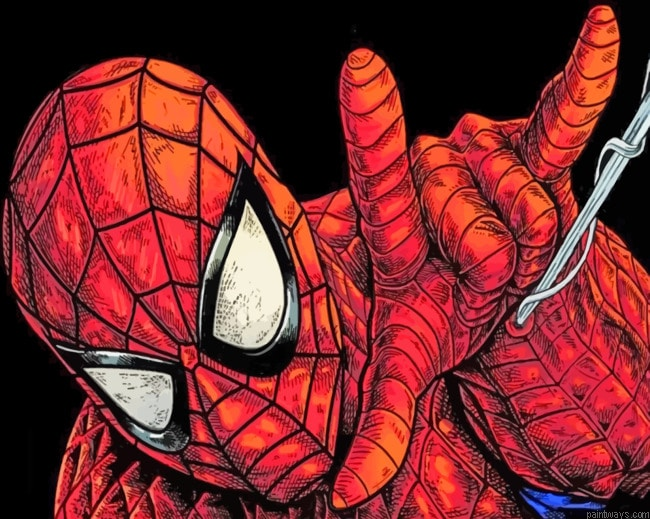 Spider Man Animations Painting By Numberss.png