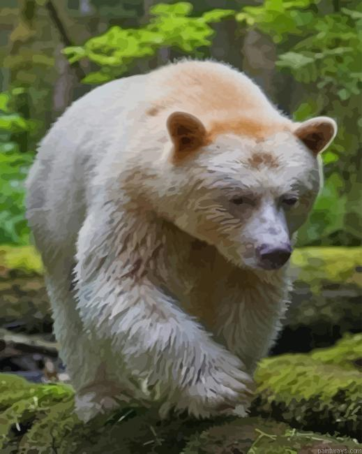 Spirit Bear New Painting By Numberss.png