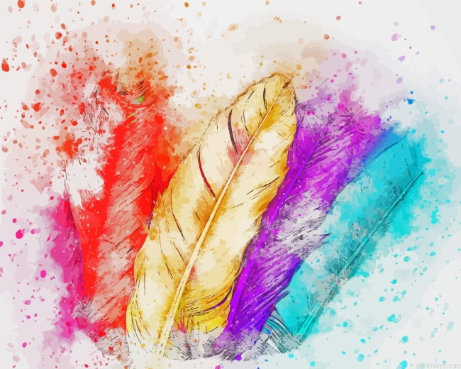 Splash Colorful Feather Painting By Numberss.png