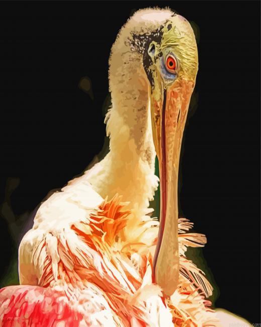 Spoonbill Bird Painting By Numberss.png