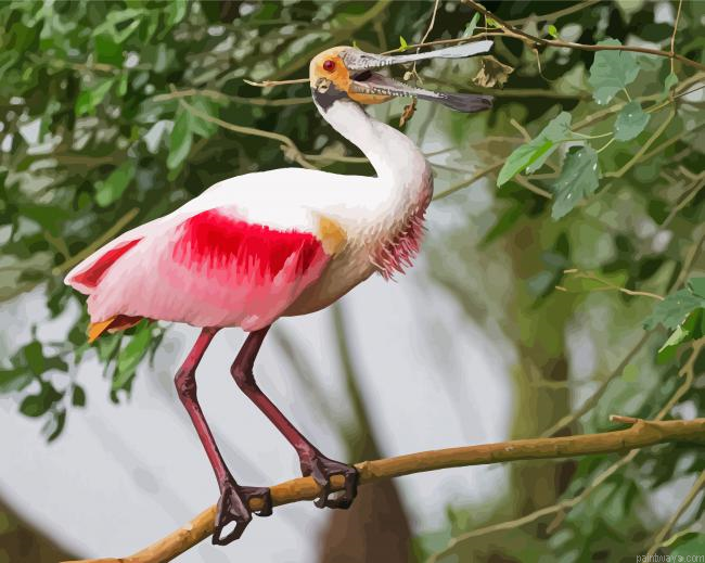 Spoonbill On Stick Painting By Numberss.png