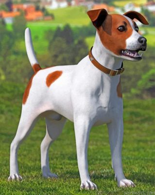 Spotted Jack Russell Terrier Painting By Numbers.png