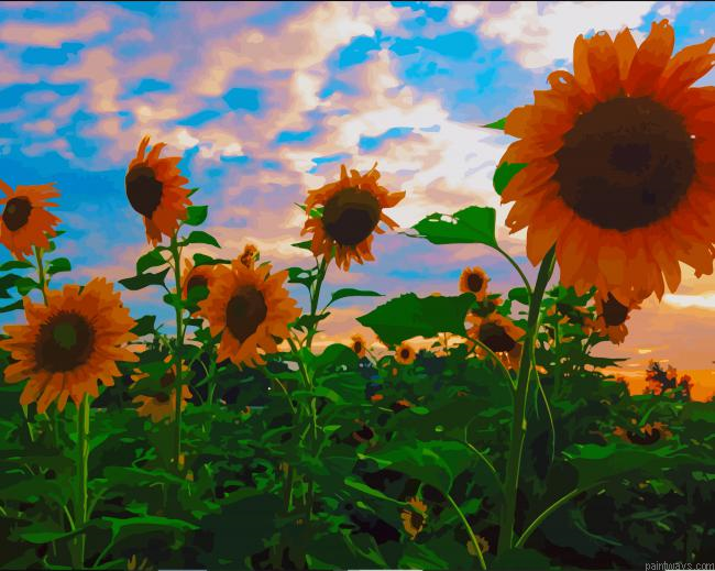 Spring Beautiful Sunflowers New Painting By Numberss.png