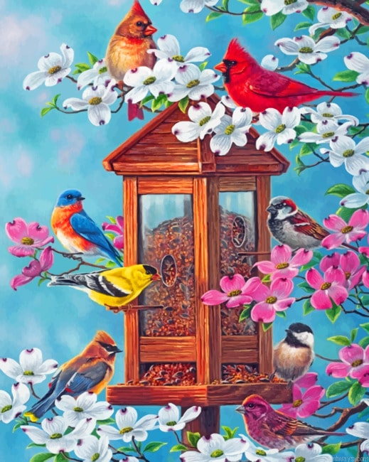 Spring Birds Painting By Numberss.png