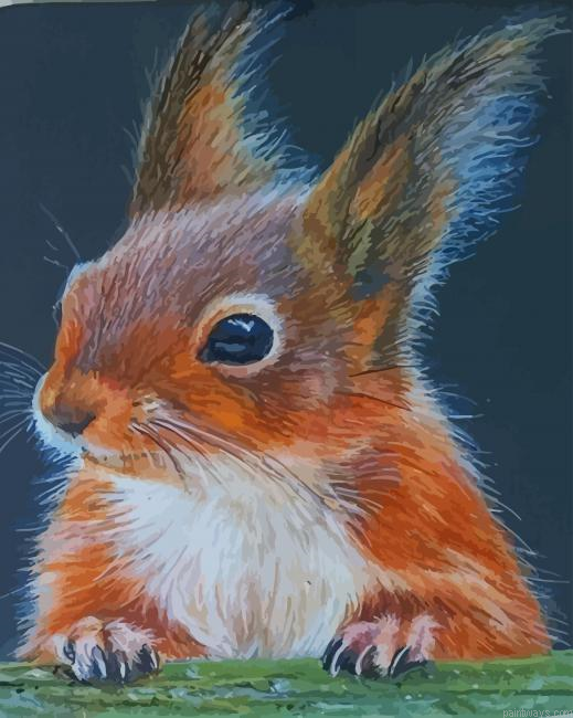 Squirrel Animal New Painting By Numberss.png