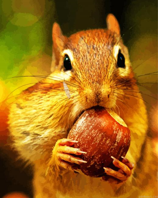 Squirrel Eating Acorn Painting By Numberss.png