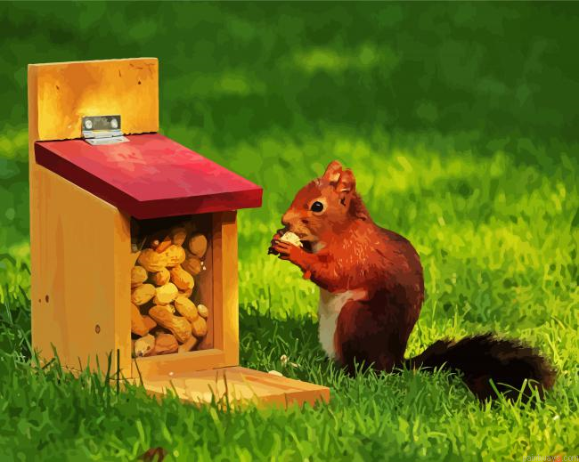 Squirrel Eating Peanuts Painting By Numberss.png